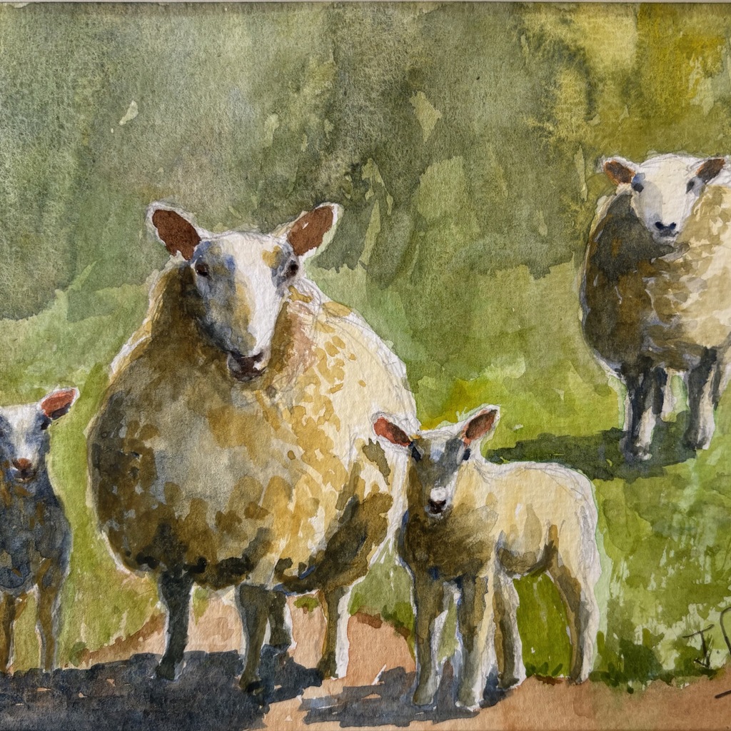 Sheep painting
